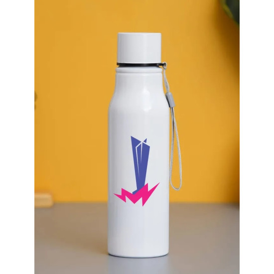 ICC Men's T20 WC-24 Printed Stainless Steel Bottle - 750 ML