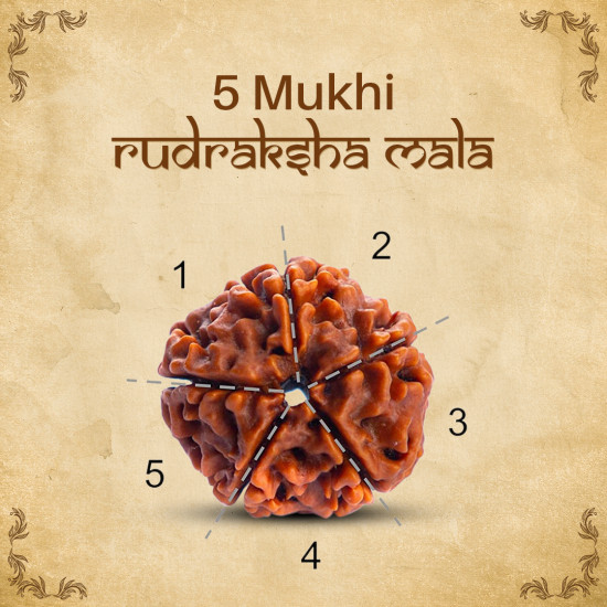 NeuOrigin Sacred Rudraksha Mala - 108 Beads 5 Mukhi - Handmade for Spiritual Awakening