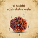 NeuOrigin Sacred Rudraksha Mala - 108 Beads 5 Mukhi - Handmade for Spiritual Awakening